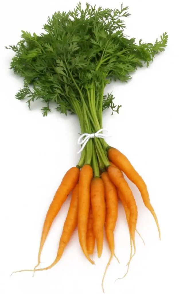 Carrots