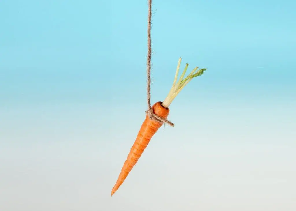 carrot on stick