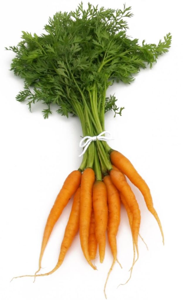 Carrots