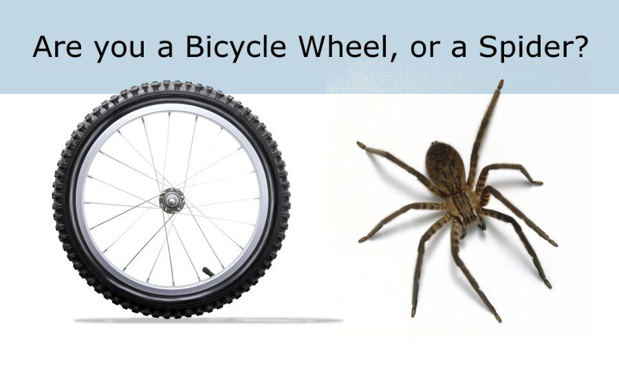 bike wheel or spider