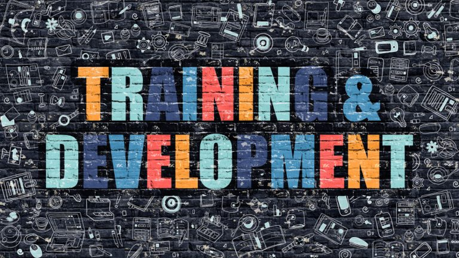 training development