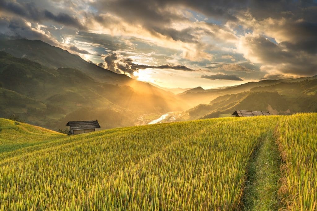 agriculture countryside crop 2165688