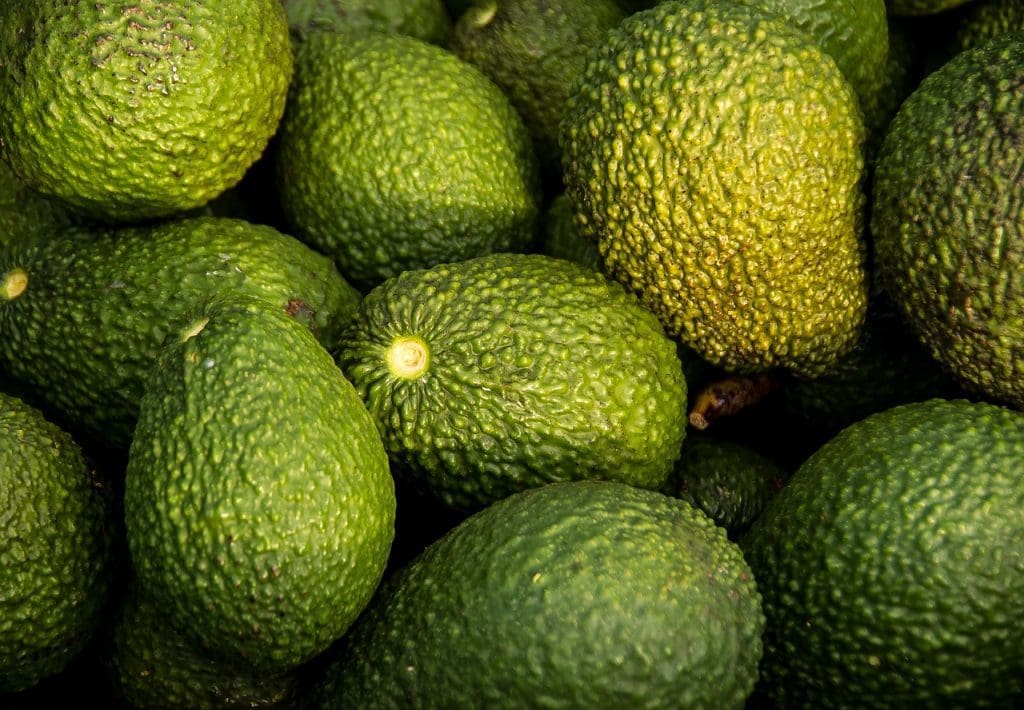 avocados 882635 1280